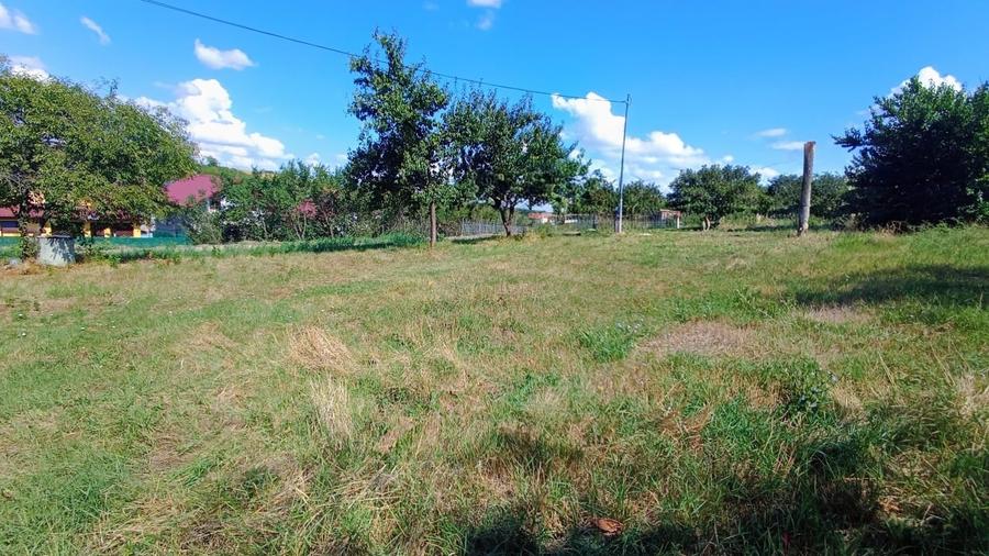 Teren Construcții intravilan de 535 mp, în Proselnici