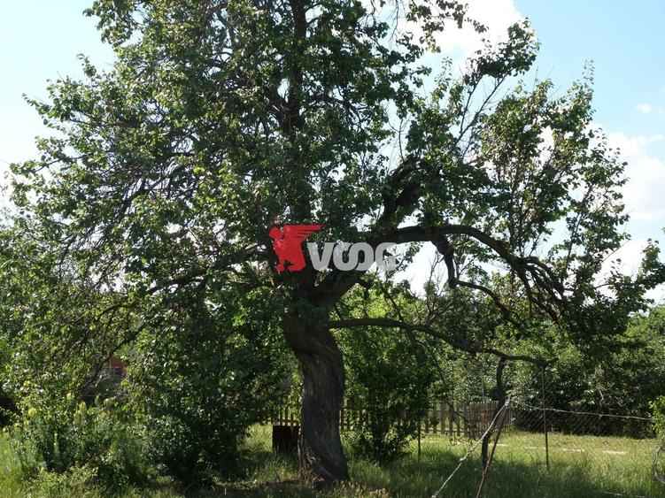 Teren Construcții intravilan de 2810 mp, în Fratelia