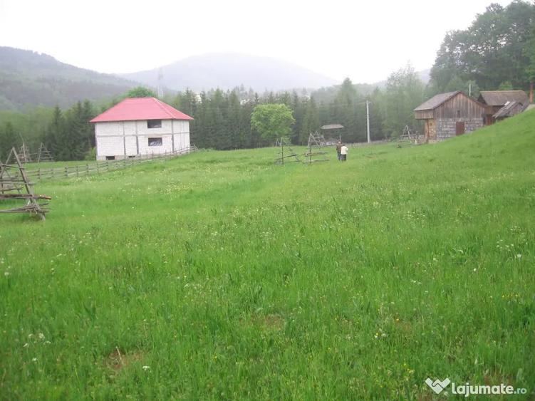 Teren de 4080 mp, în Valea Doftanei