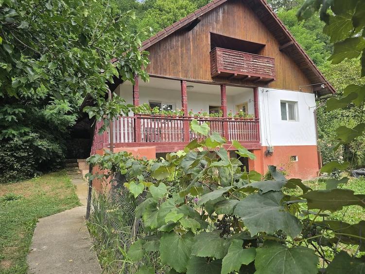 Casă cu 4 camere cu Teren 2500 Mp în Slătioara