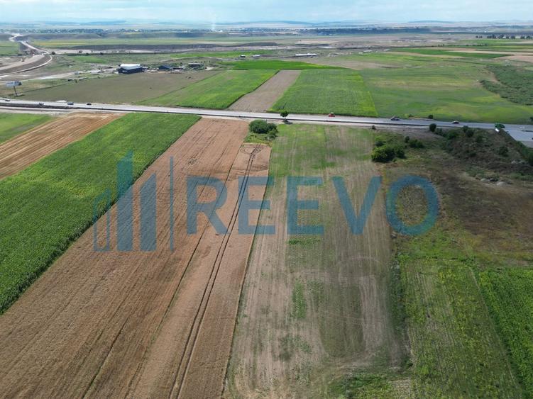Teren agricol extravilan de 4947 mp, în Horia
