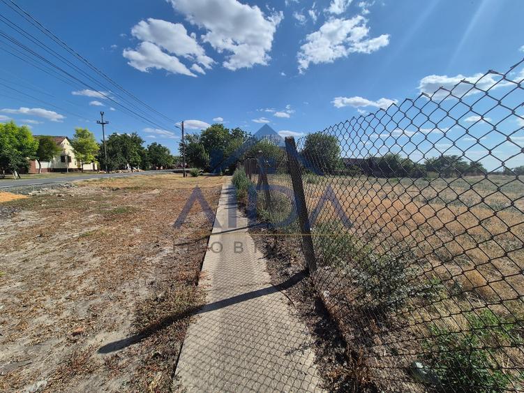 Teren Construcții intravilan de 3682 mp, în Beregsău Mic