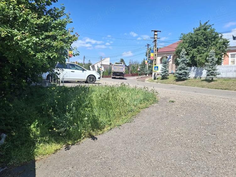 Casă cu 3 camere cu Teren 1300 Mp în Viișoara