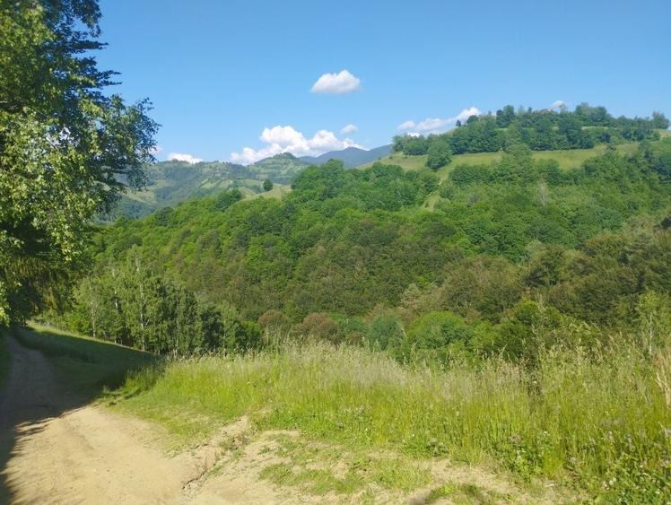 Spațiu comercial, în Poiana Mărului