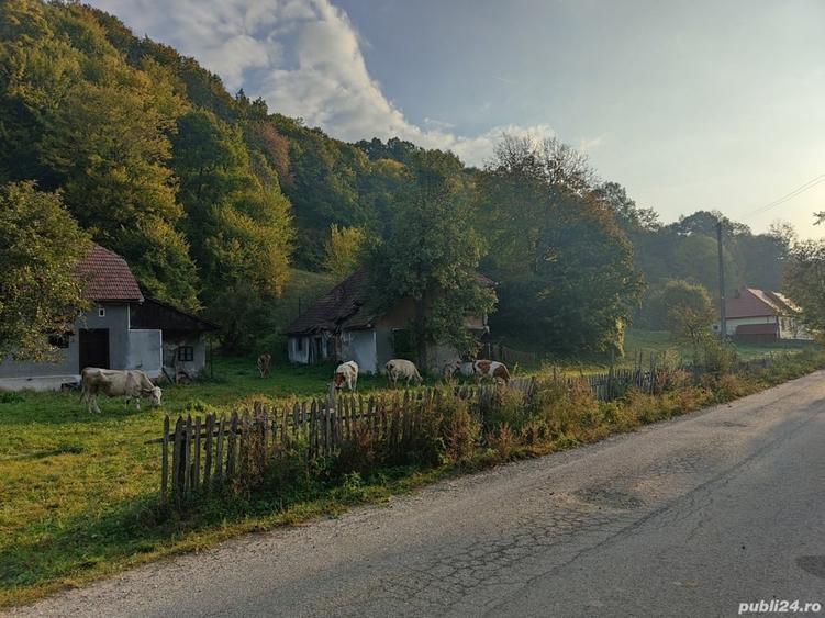 Casă cu 4 camere cu Teren 7000 Mp în Almașu Mare