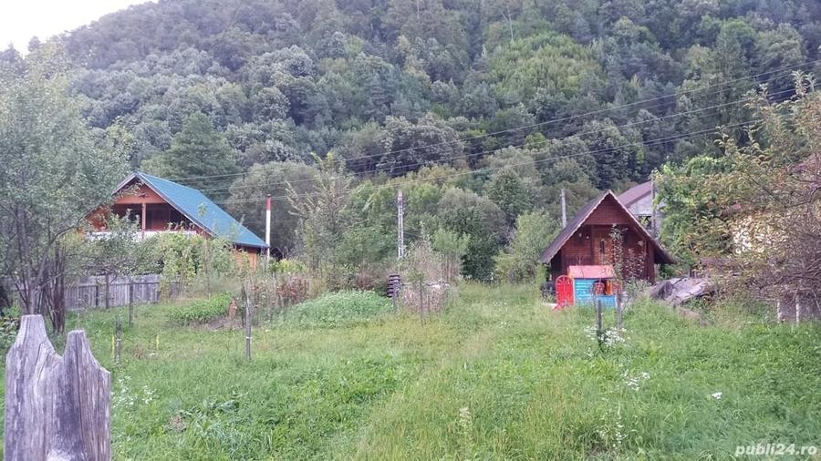 Teren în Păscoaia