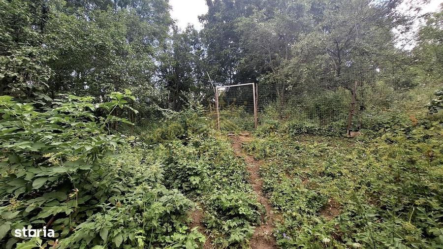 Casă cu 2 camere în Borzești