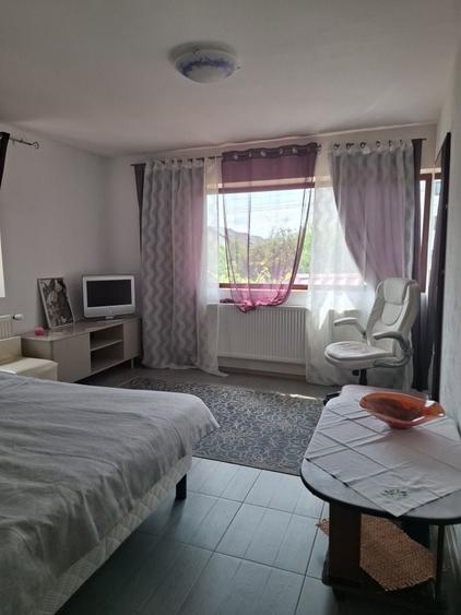 Apartament cu 2 camere decomandat în Valea Lupului