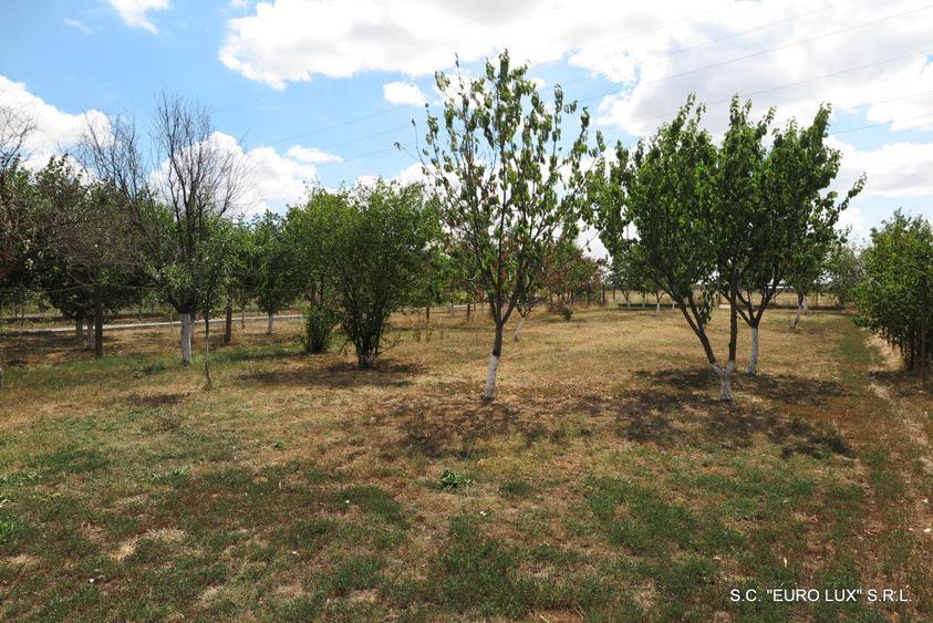 Teren de 650 mp, în Aradul Nou
