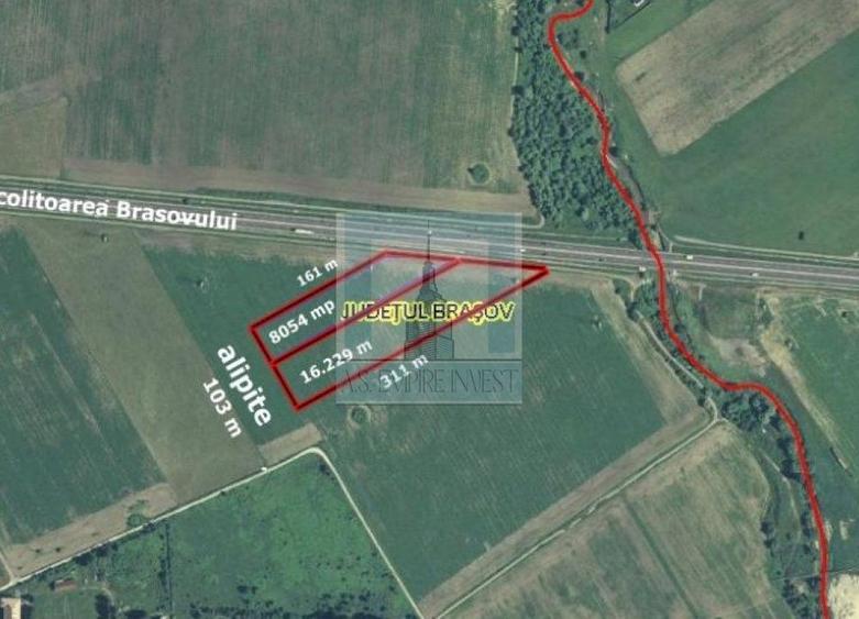 Teren Construcții intravilan de 24283 mp, în Rulmentul
