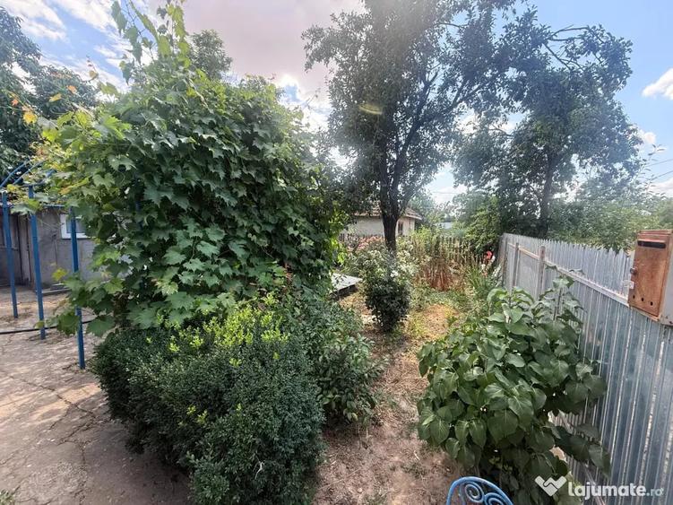 Casă cu 3 camere în Platonești