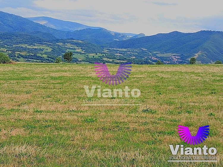 Teren agricol extravilan de 3100 mp, în Rășinari