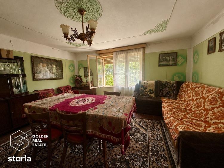 Casa traditionala cu teren 3.086 mp, Capru?a, Arad - 9