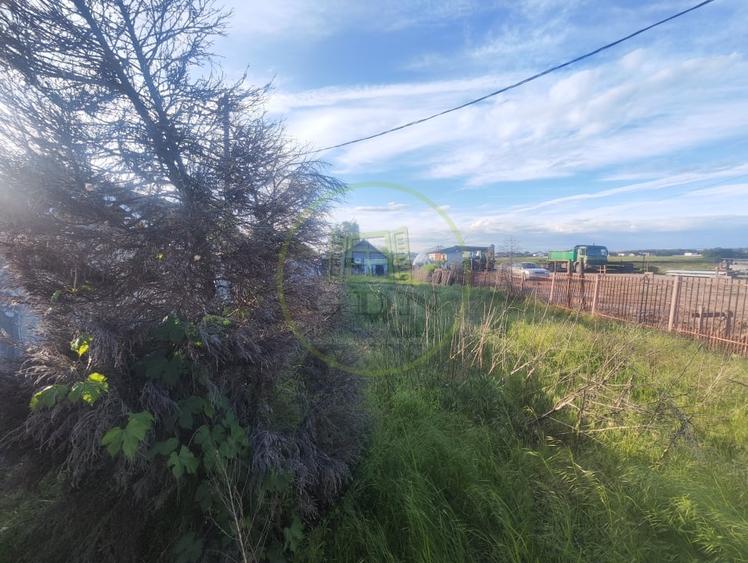 Teren Construcții intravilan de 2000 mp, în Balta Verde