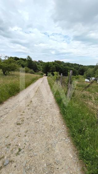 Teren Construcții intravilan de 977 mp, în Cisnădioara
