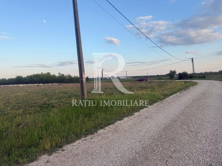 Teren agricol extravilan de 1923 mp, în Păușa