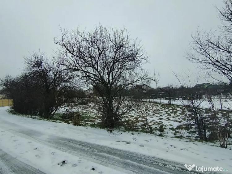 Teren de 640 mp, în Mischii