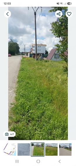 Vand teren intravilan Costinesti - 5