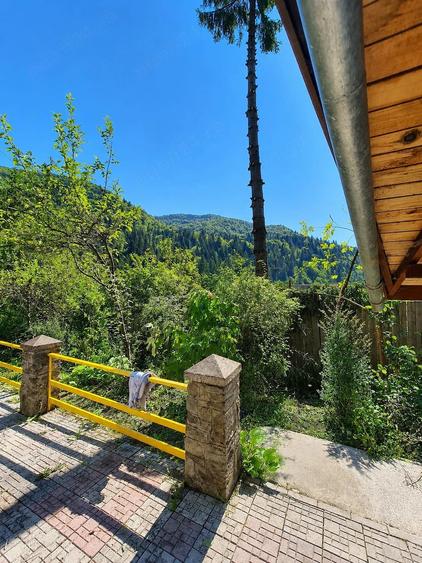 Casă cu 6 camere cu Teren 4600 Mp în Tarcău