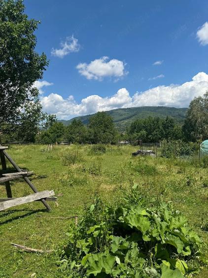 Teren de 740 mp, în Valea Doftanei