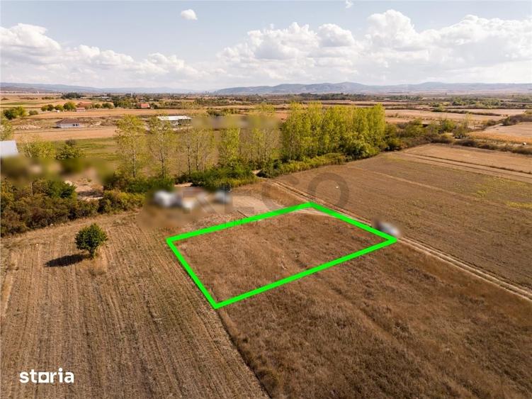 RECO Teren intravilan Tileagd 577 MP - 3
