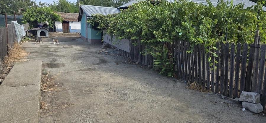 Casă cu Teren 2634 Mp în Chirnogeni