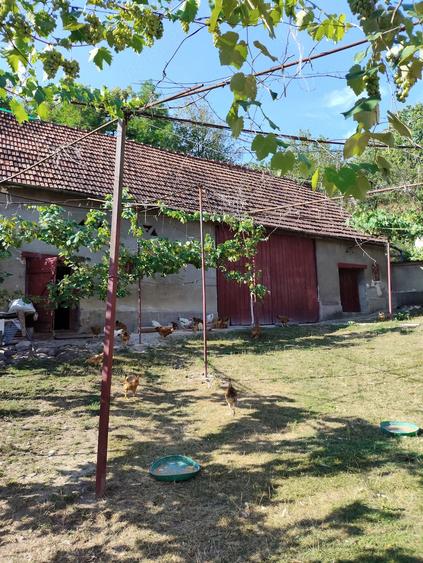 Casă cu 3 camere cu Teren 30000 Mp în Săliștea