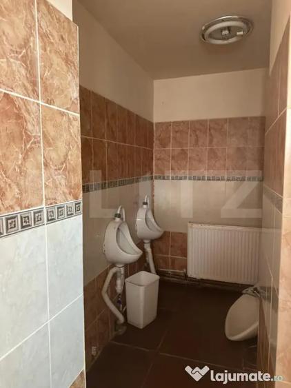 Teren de 5800 mp, în Tărlungeni