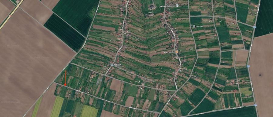 Livada de vanzare - 1