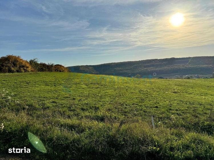 Teren de vanzare in Betfia, 5487 mp intravilan, Bihor, Gaminvest-V4571 - 1