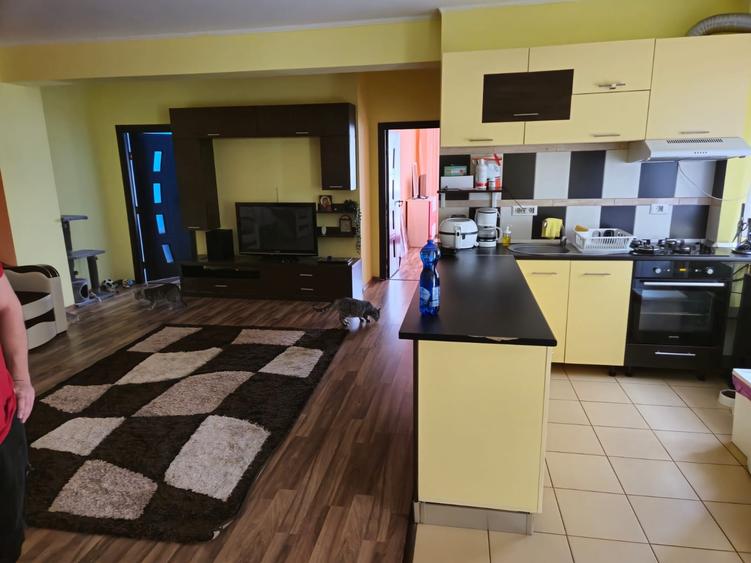 Bucuresti  Noi - Sos Chitilei 3 camere închiriere - 13