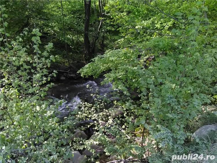 Teren de 5500 mp, în Pietroasa