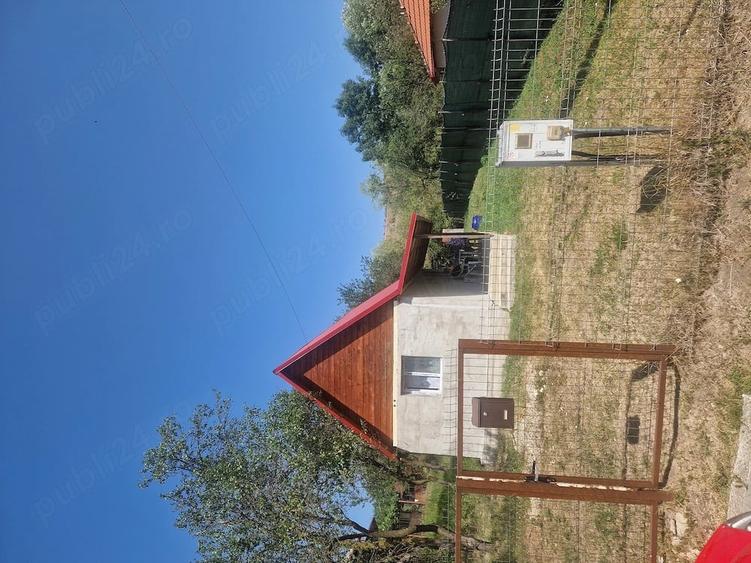 Casă cu Teren 6 Mp în Borșa