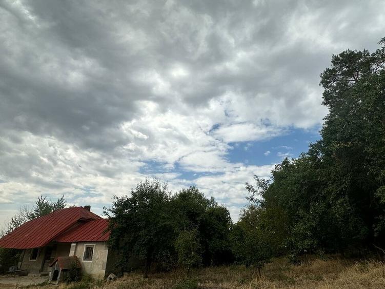 Teren Construcții intravilan de 2645 mp, în Ștefănești