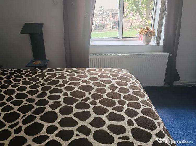 Casă cu 3 camere în Cogealac