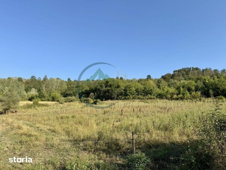 Teren de 33290 mp, în Broșteni
