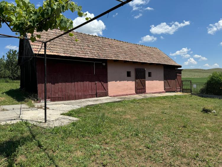 Casă cu 3 camere în Bolduț