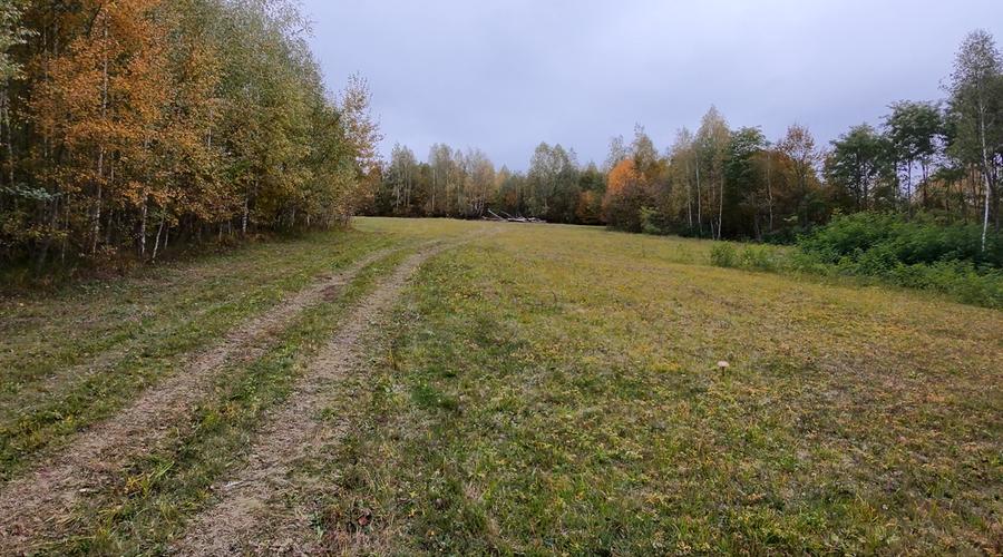 Teren agricol extravilan de 2652 mp, în Șinca Nouă