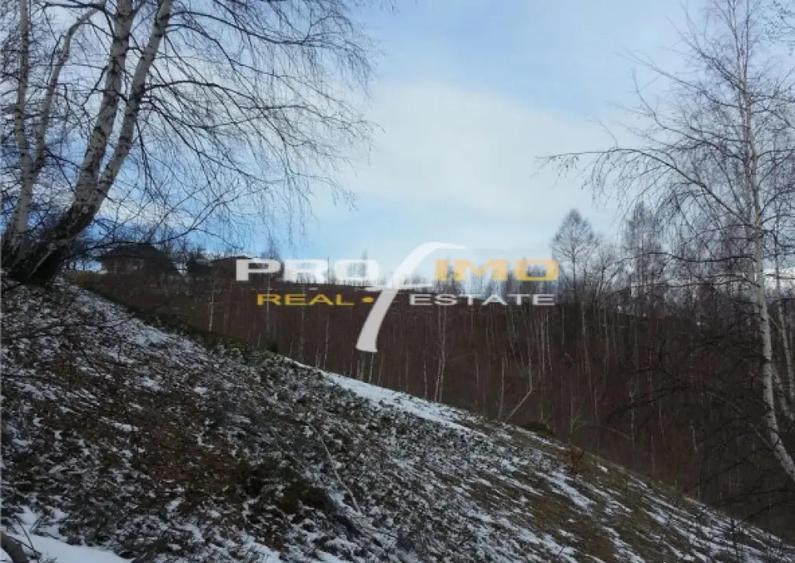Moeciu, Drumul Carului, teren 3750 mp, 75000 euro - 5