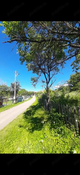 420mp sau 830mp in ?inutul Padurenilor , partea de sud-vest a jud. Hunedoara. - 2