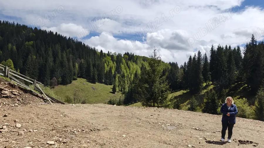Teren de 1000 mp, în Băișoara