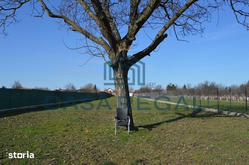 Teren de 2992 mp, în Biharia