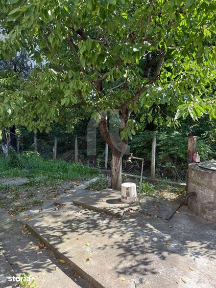 Casă cu 3 camere cu Teren 3117 Mp în Viperești
