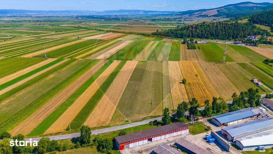 Teren de 7000 mp, în Teliu