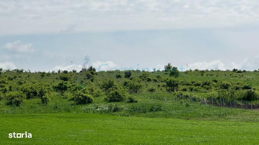 Teren Extravilan zona Episcopia,Oradea, judetul Bihor,Gaminvest,V3160B - 1