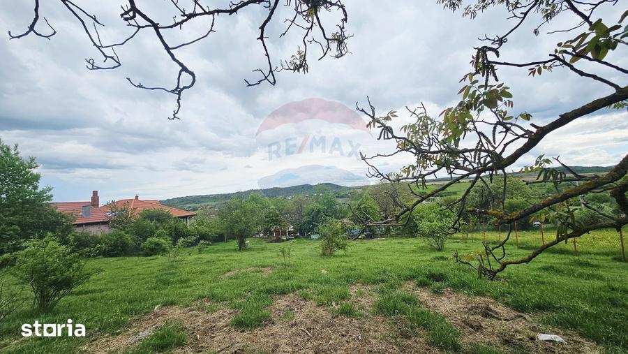 Teren de 5350 mp, în Dobreni