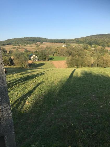 Teren Construcții intravilan de 2500 mp, în Călinești (Dărmănești)