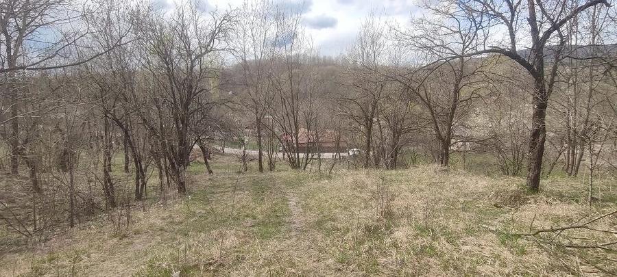 Teren de 2500 mp, în Central