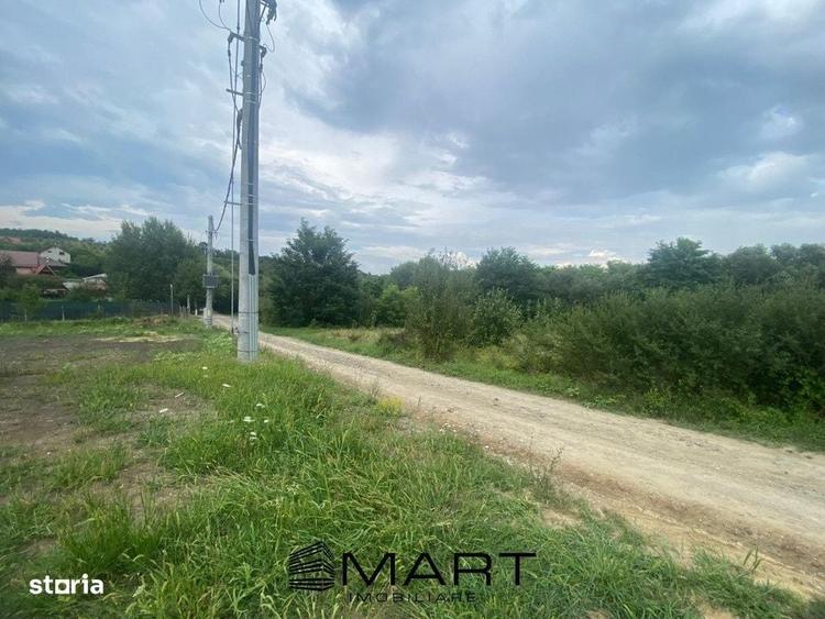 Spațiu comercial, în Daia
