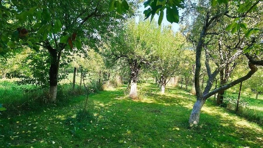 Casă cu 4 camere în Coman